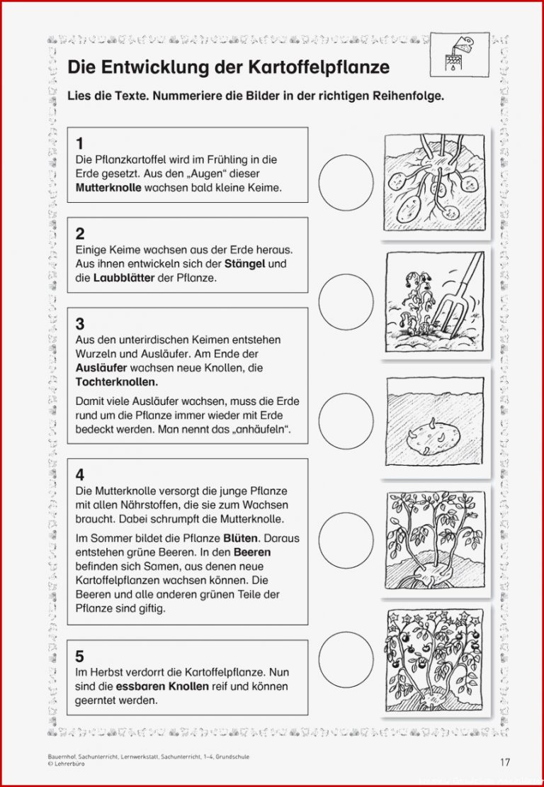 Interview Grundschule Arbeitsblätter Worksheets