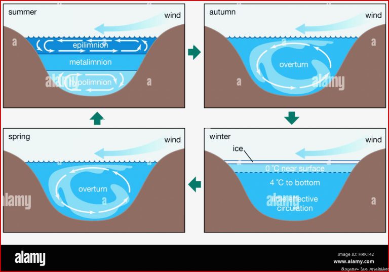 Jährliche Zirkulationsmuster in einem dimiktisch See