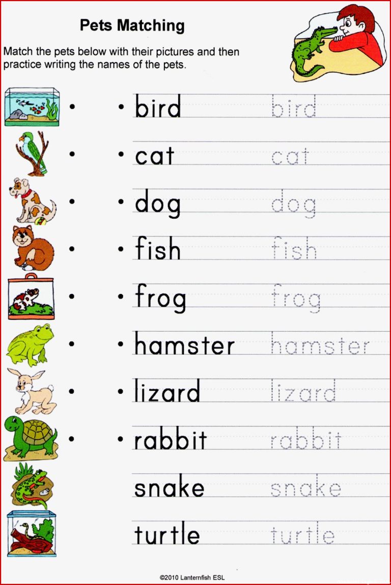 Joinin Speakup teachernick English vocabulary Animals 1
