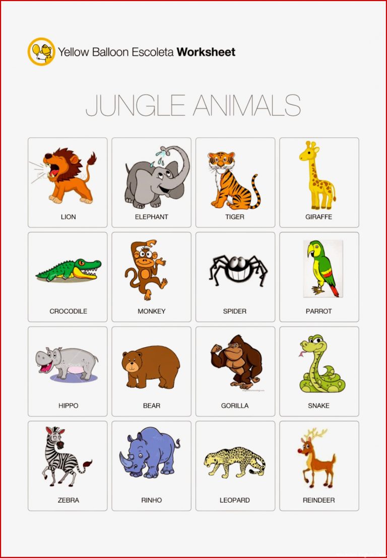 JUNGLE ANIMALS Worksheet – Escoleta English
