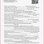 Juniorwahl Arbeitsblätter Lösungen Worksheets