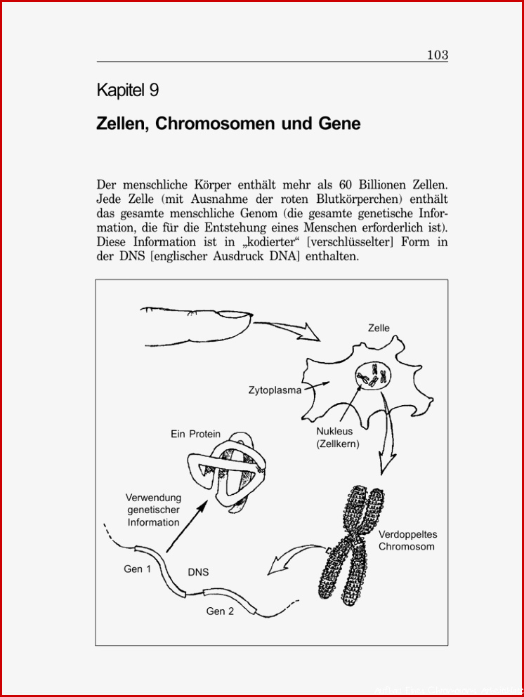 Kapitel 9 Zellen Chromosomen und Gene
