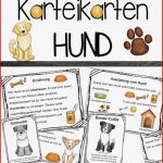 Karteikarten Zum Hund – Unterrichtsmaterial Im Fach