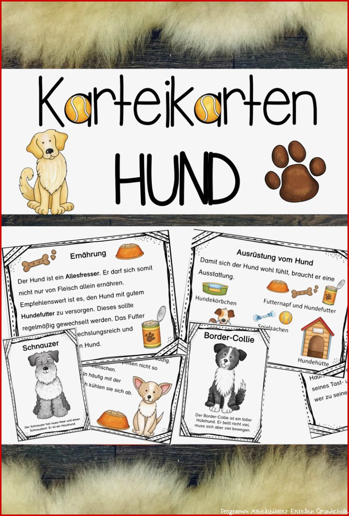 Karteikarten zum Hund – Unterrichtsmaterial im Fach