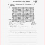 Kartoffel Werkstatt Für Grundschule