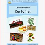 Kartoffel Werkstatt Für Grundschule