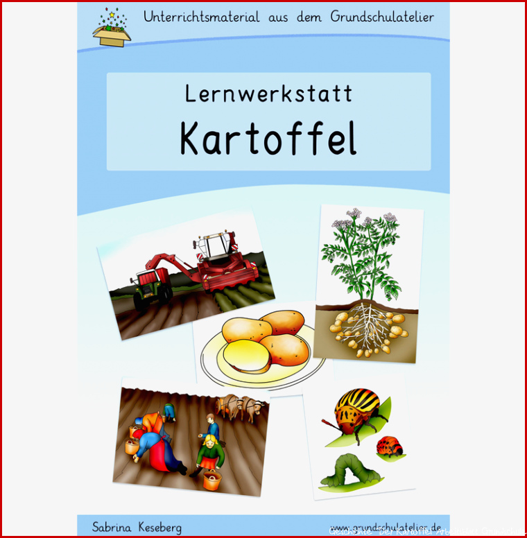 Kartoffel Werkstatt für Grundschule