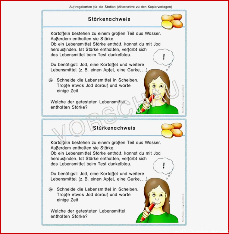 Kartoffel Werkstatt für Grundschule