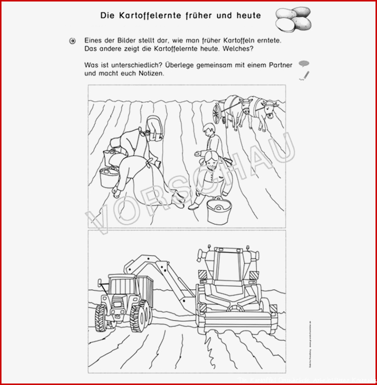 Kartoffel Werkstatt für Grundschule