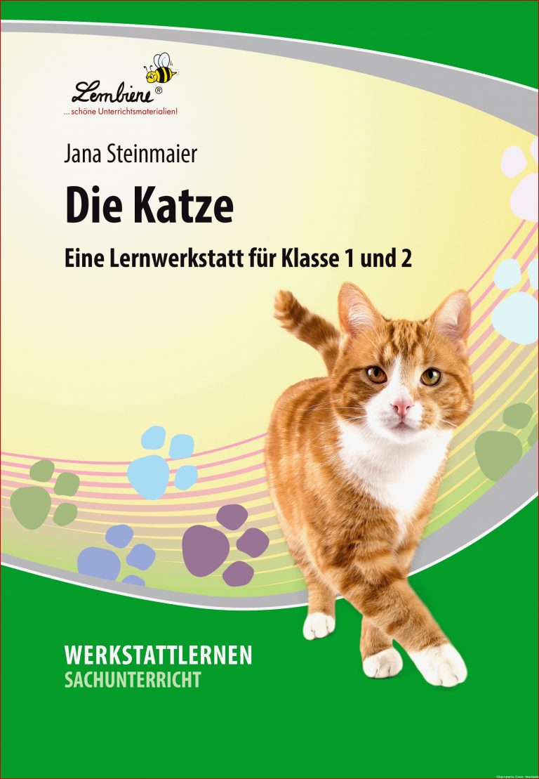 Katze Steckbrief Biologie Schule