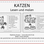 Katzen Lesen Und Malen