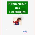 Kennzeichen Des Lebendigen