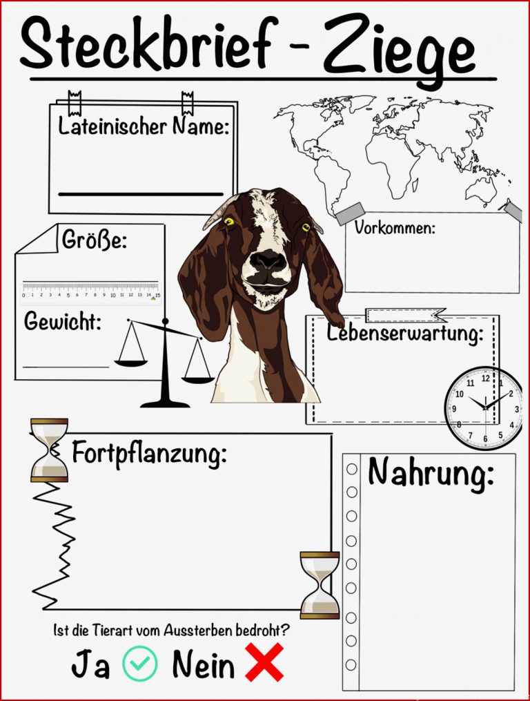 Kennzeichen Des Lebendigen Arbeitsblatt Lösungen Madison