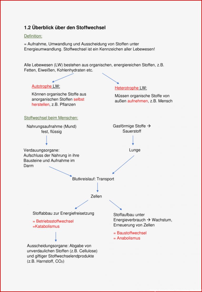 Kennzeichen Lebewesen Arbeitsblatt tobias Hoover Schule