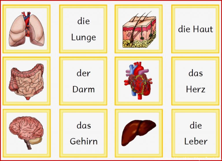 Kerstins Krabbelwiese Der menschliche Körper