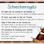 Kerstins Krabbelwiese Schneckerei In Der Schule