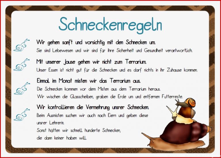 Kerstins Krabbelwiese Schneckerei in der Schule