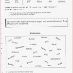 Klasse 4 21/22 â Kgsblumenthal