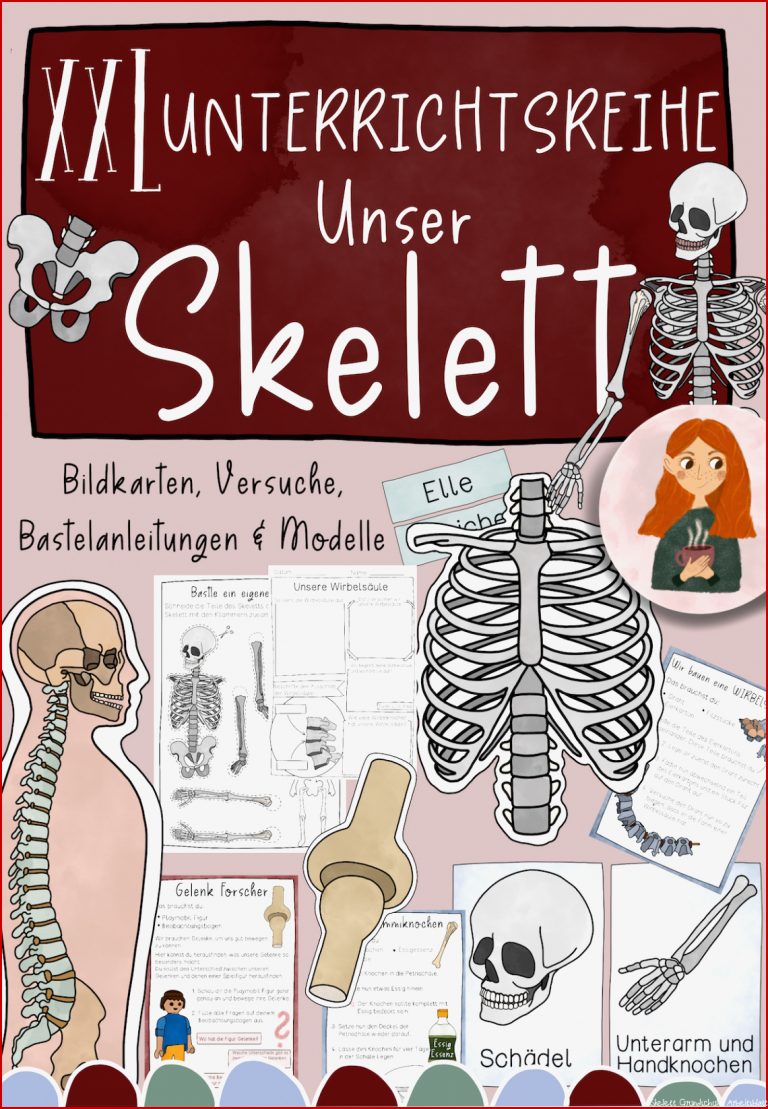 Klasse Skelett Arbeitsblatt Kostenlos Stephen Scheidt Schule