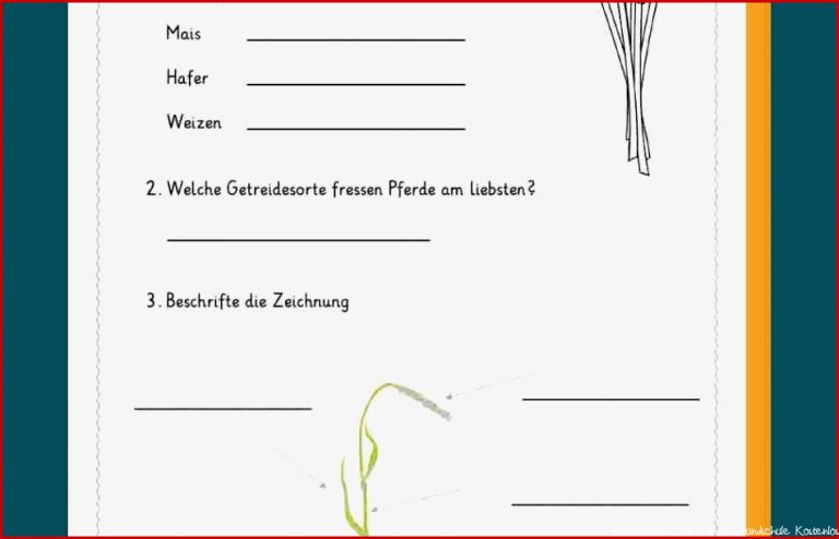 Klassenarbeit Sachkunde 3 Klasse Getreide Arbeitsblätter