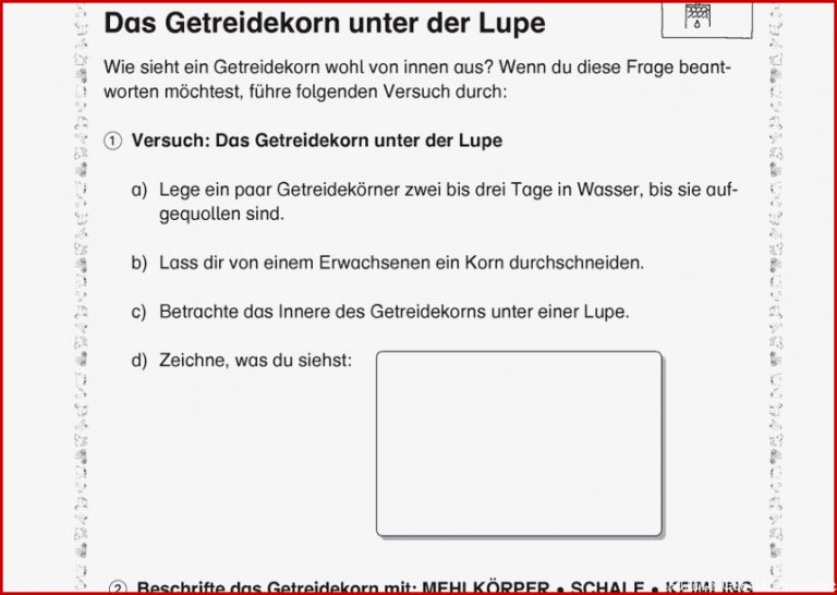 Klassenarbeit Sachkunde 3 Klasse Getreide Arbeitsblätter