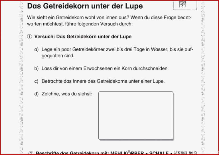 Klassenarbeit Sachkunde 3 Klasse Getreide Arbeitsblätter