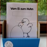 Klassenkunst Vom Ei Zum Huhn Teil 2