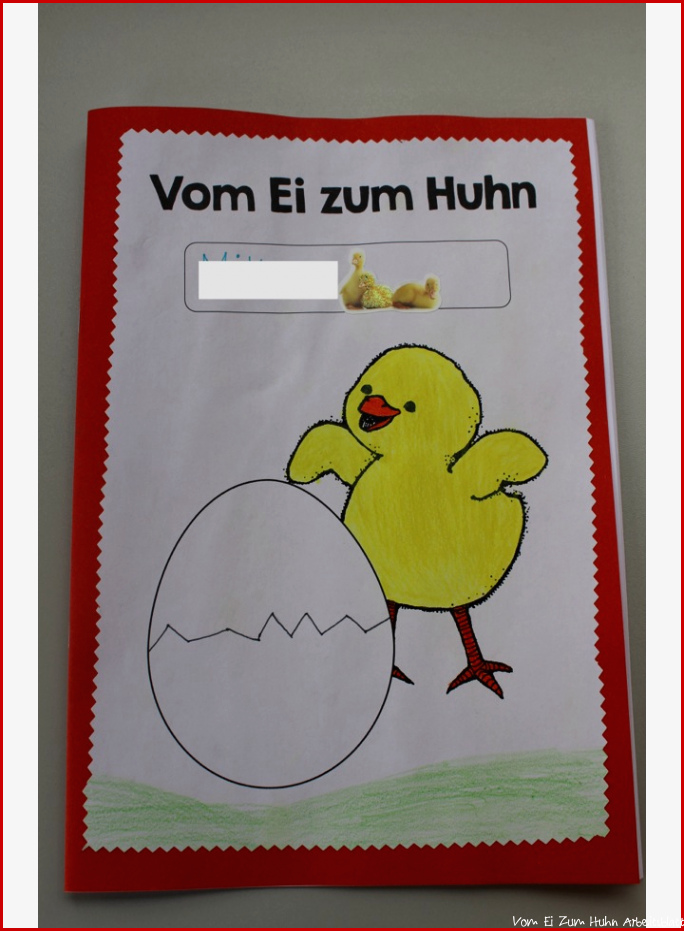 KLASSENKUNST Vom Ei zum Huhn Teil 2