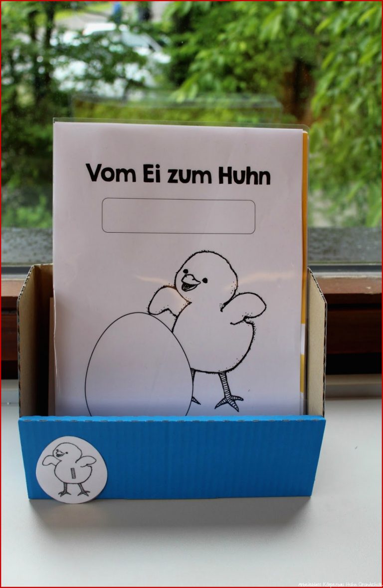 KLASSENKUNST Vom Ei zum Huhn Teil 2