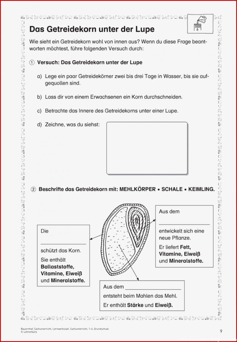 Klett Arbeitsblätter Biologie Kostenlos