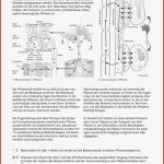 Klett Arbeitsblätter Biologie Worksheets