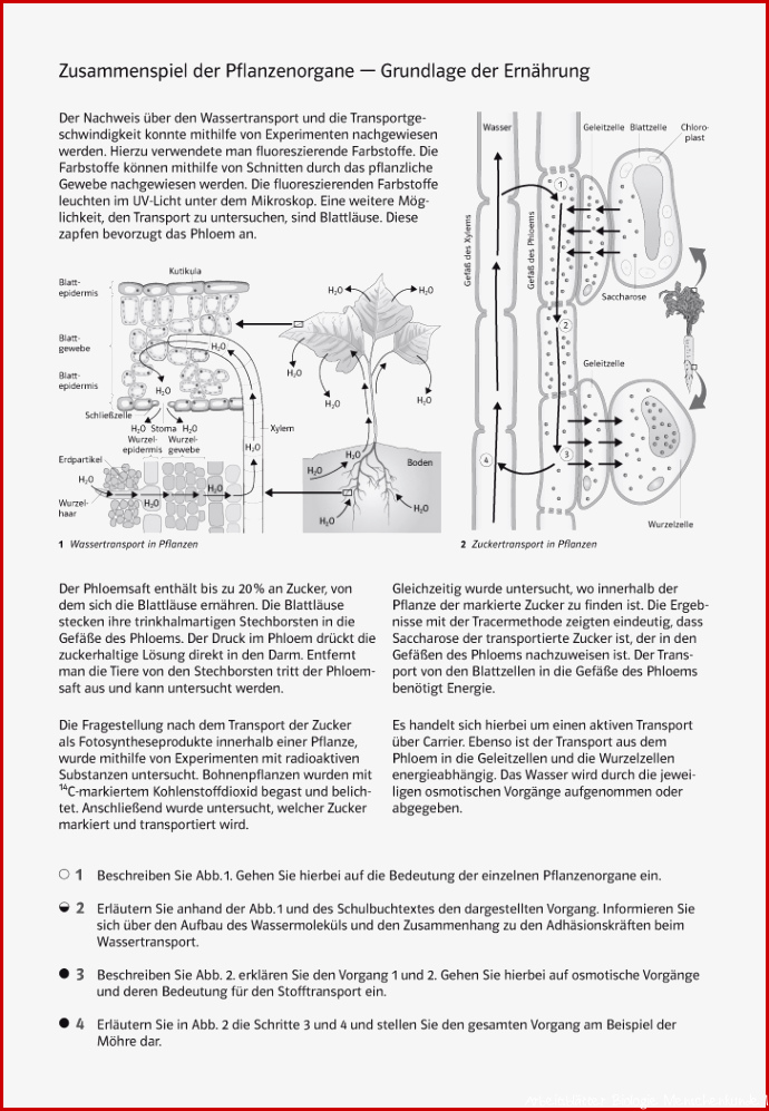 Klett Arbeitsblätter Biologie Worksheets