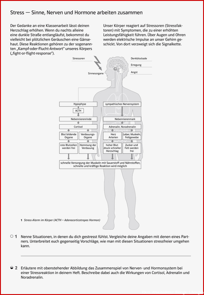 Klett Arbeitsblätter Biologie Worksheets