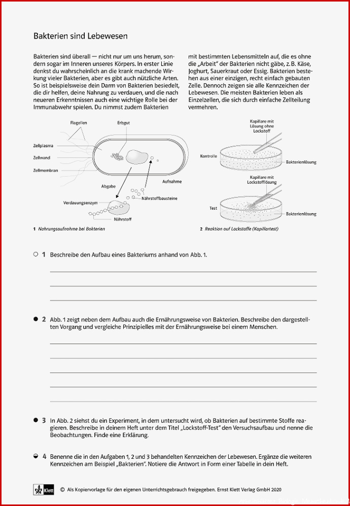 Klett Arbeitsblätter Biologie Worksheets