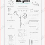 Klett Biologie Arbeitsblätter Worksheets