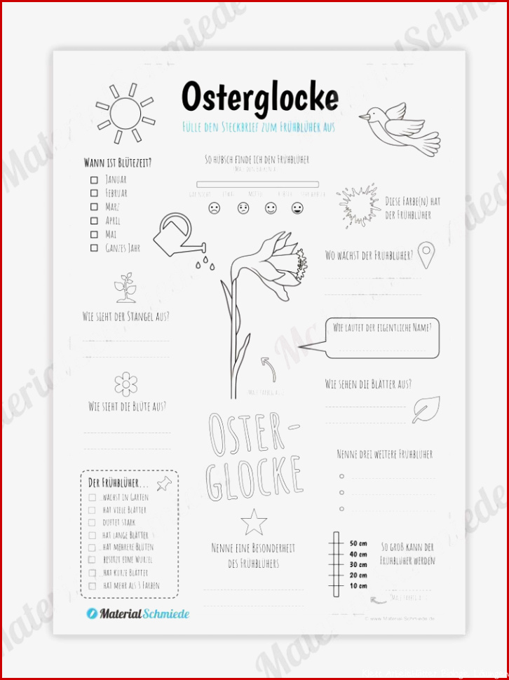 Klett Biologie Arbeitsblätter Worksheets