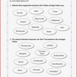 Klett Biologie Arbeitsblätter Worksheets