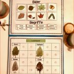 Klettlernmappe Laubbäume – Unterrichtsmaterial Im Fach