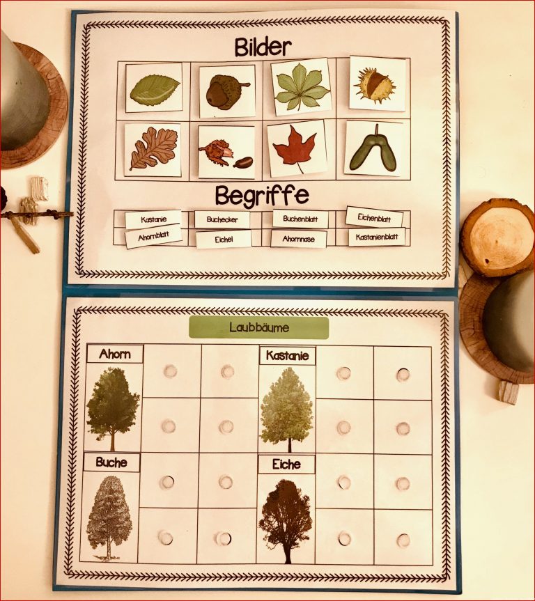 Klettlernmappe Laubbäume – Unterrichtsmaterial Im Fach