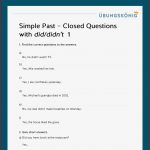 Königspaket Simple Past Closed Questions with Did Didn