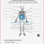 Körper Und Gesundheit Aufgaben Biologie Test