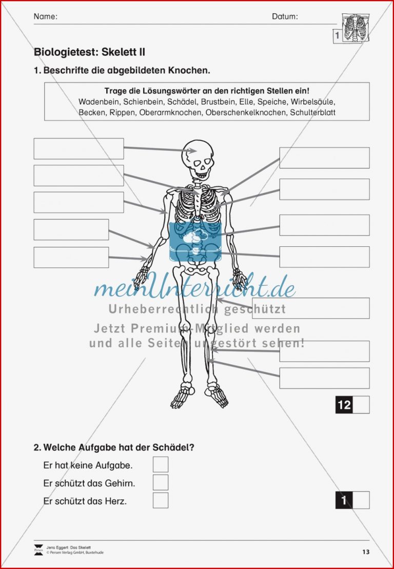 Körper und Gesundheit Aufgaben Biologie Test