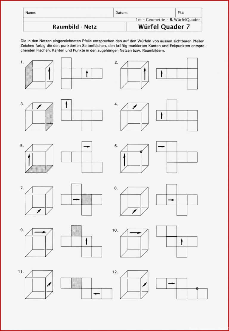 Körpernetze Arbeitsblätter Klasse 5 Worksheets