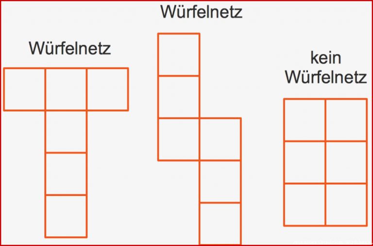 Körpernetze online lernen