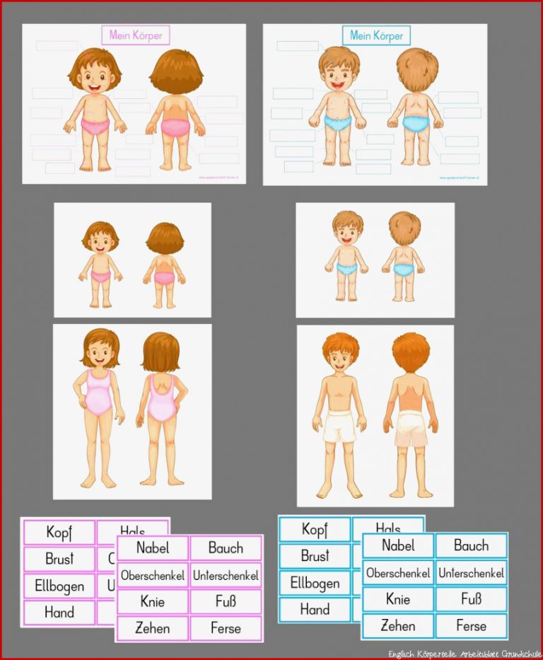 Körperteile - Kostenlose Arbeitsblätter Und Unterrichtsmaterial | #92848