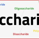 Kohlenhydrate â Einfachzucker, Zweifachzucker, Mehrfachzucker ...