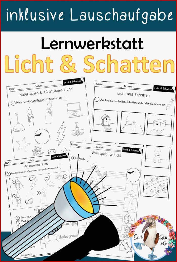 Komplettpaket Licht Und Schatten Für Den Sachunterricht In