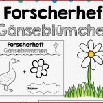Konzentrationstraining Grundschule Arbeitsblätter Worksheets