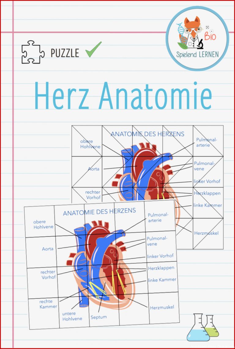 Kostenlos Ausdrucken Arbeitsblatt Biologie Klasse 5 Fische