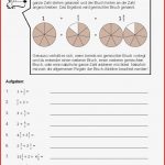 Kostenlose Arbeits Und Übungsblätter Zum thema Brüche
